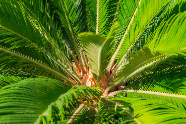 Similar image 21259949