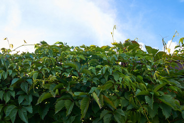 Similar image 21260177