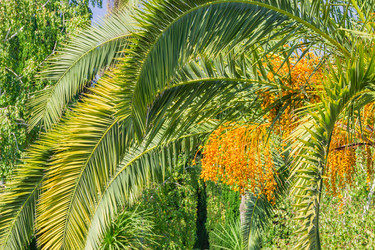 Similar image 21260312