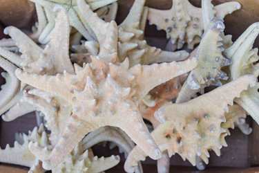 Similar image 21260316