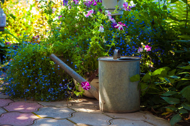 Similar image 21277379