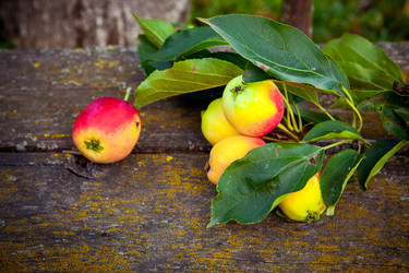 Similar image 21277380