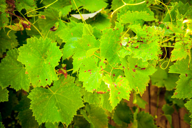 Similar image 21277381