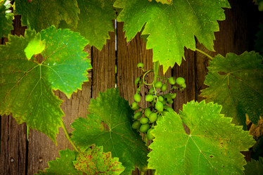 Similar image 21277382