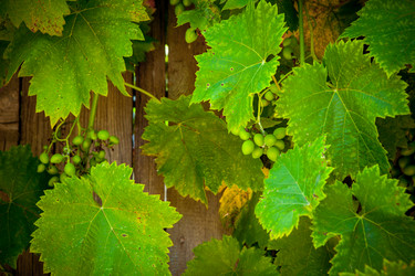 Similar image 21277383