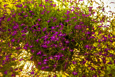 Similar image 21283897