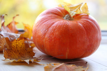 Similar image 21277384