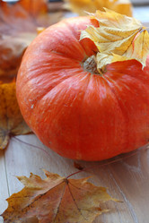 Similar image 21277385