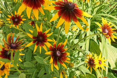 Similar image 21259423