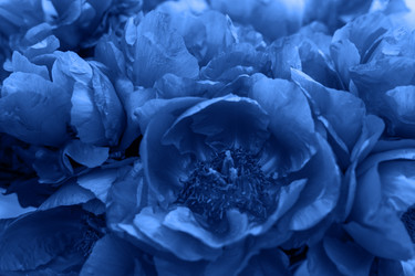 Similar image 21259427