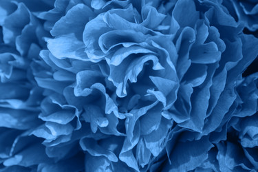 Similar image 21259428