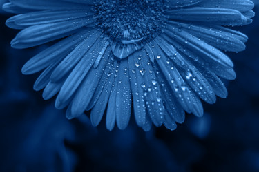 Similar image 21259430