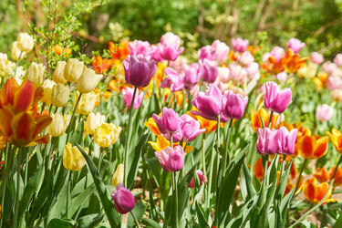 Similar image 21259435