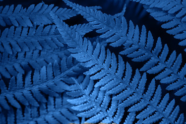 Similar image 21259159