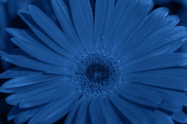 Similar image 21259338