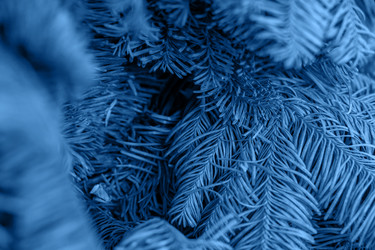 Similar image 21259449