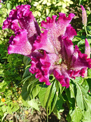 Similar image 21268542