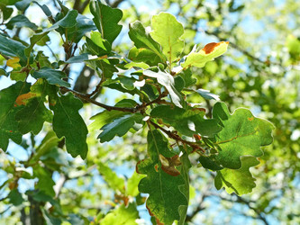 Similar image 21267271