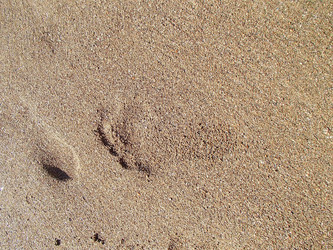 Similar image 21267272