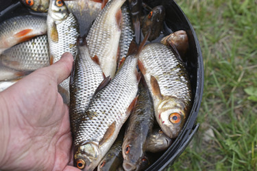 Similar image 21289154