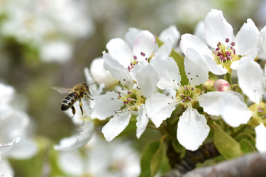 Similar image 21289157