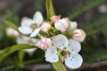 Similar image 21289271