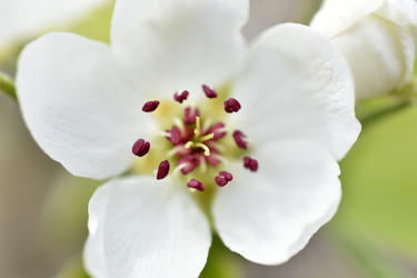 Similar image 21289274