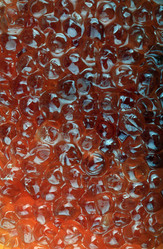 Similar image 21273231