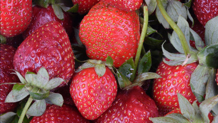 Similar image 21273232