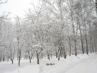 Similar image 21273234