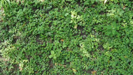 Similar image 21292147