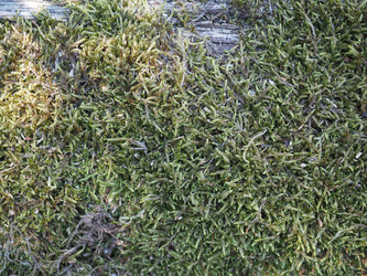 Similar image 21273019