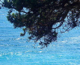 Similar image 21267275