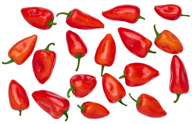 Similar image 21285832