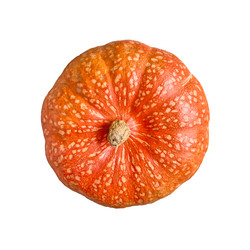 Similar image 21278281