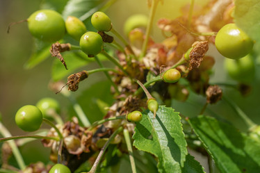 Similar image 21262905