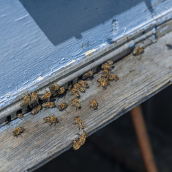 Similar image 21262907