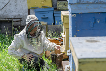 Similar image 21262908