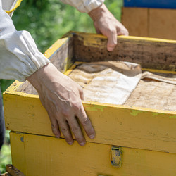 Similar image 21262911