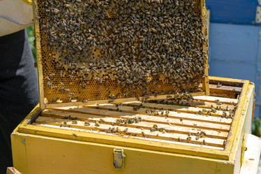 Similar image 21262913