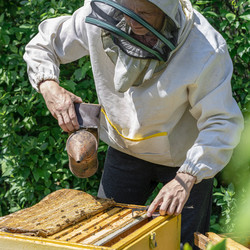 Similar image 21262917