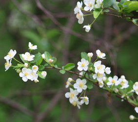 Similar image 21281867