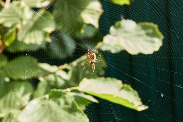 Similar image 21259193