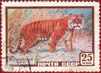 Similar image 21270623