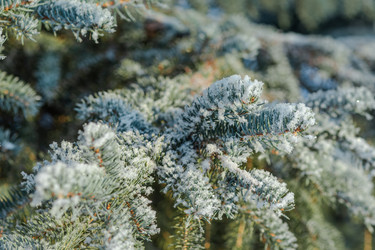 Similar image 21275323