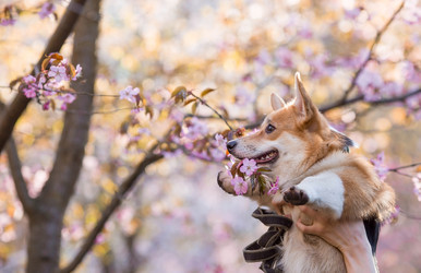 Similar image 21270287