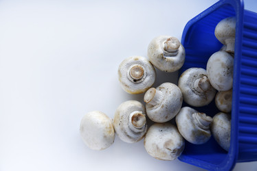 Similar image 21263241