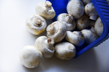 Similar image 21263242