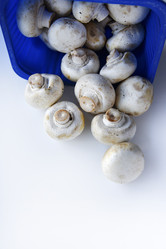 Similar image 21263243