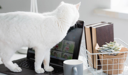 Similar image 21270317